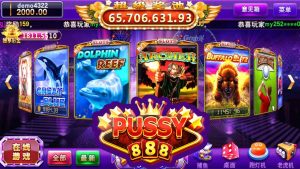 pussy888 apk