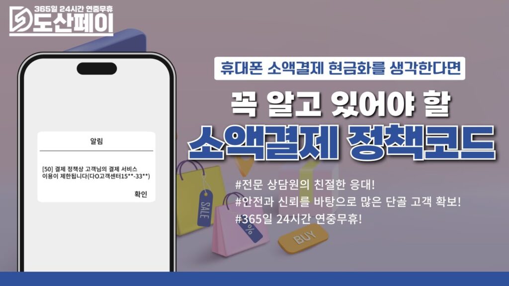 소액결제 정책