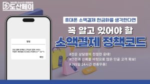 소액결제 정책